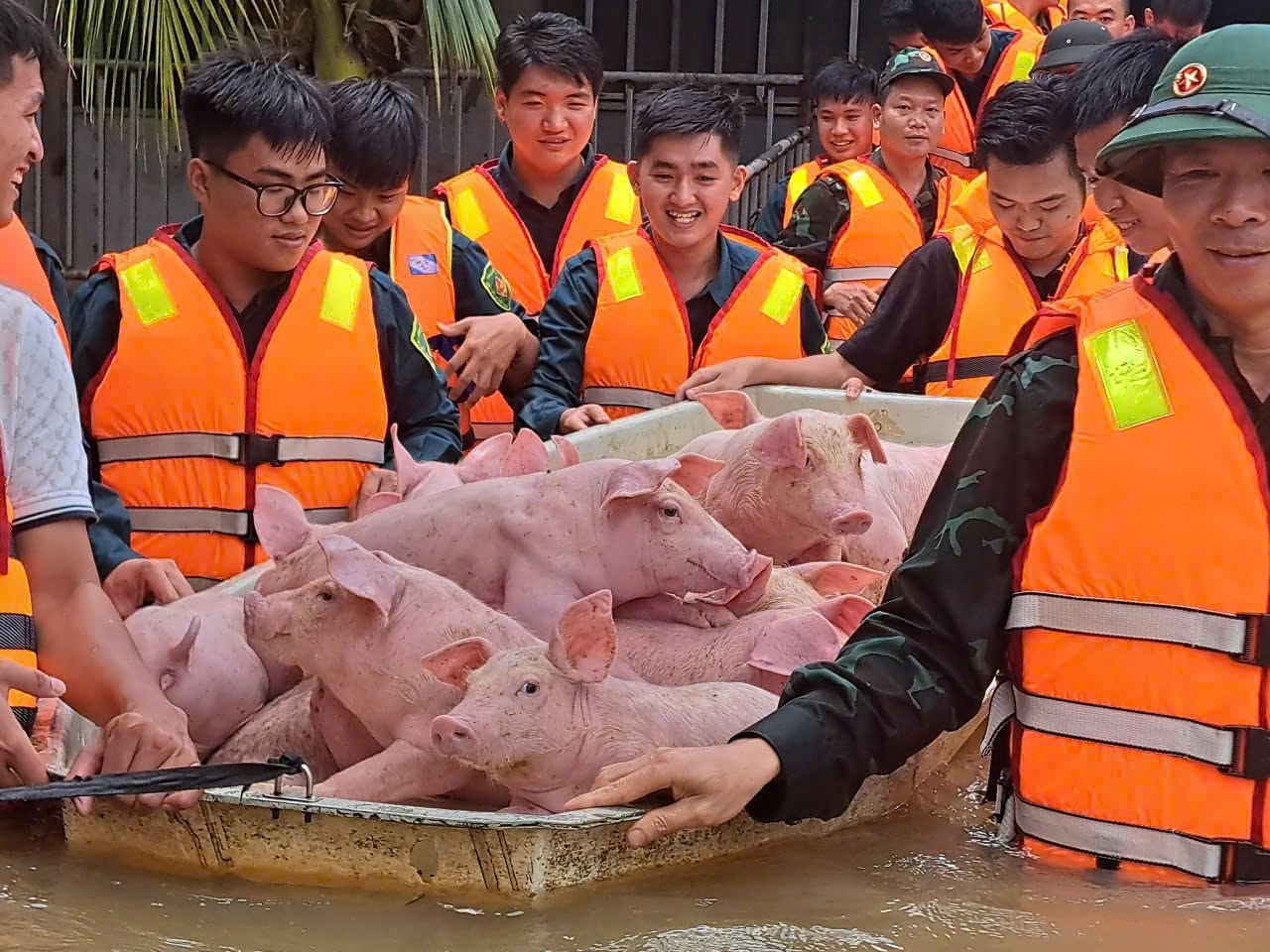 Con đường ở Đồng Nai ngập nặng, người d&acirc;n sống 40 năm chưa từng thấy - Ảnh 6.