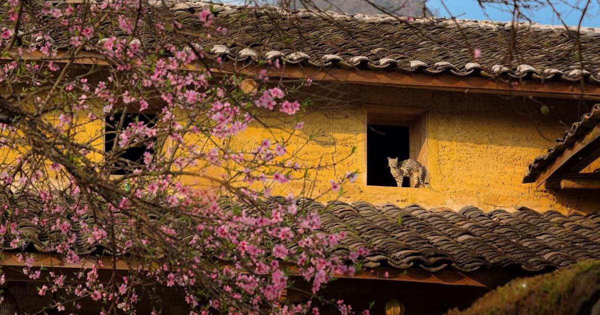 5 ng&ocirc;i l&agrave;ng ở Việt Nam h&uacute;t kh&aacute;ch nhờ du lịch cộng đồng- Ảnh 4.