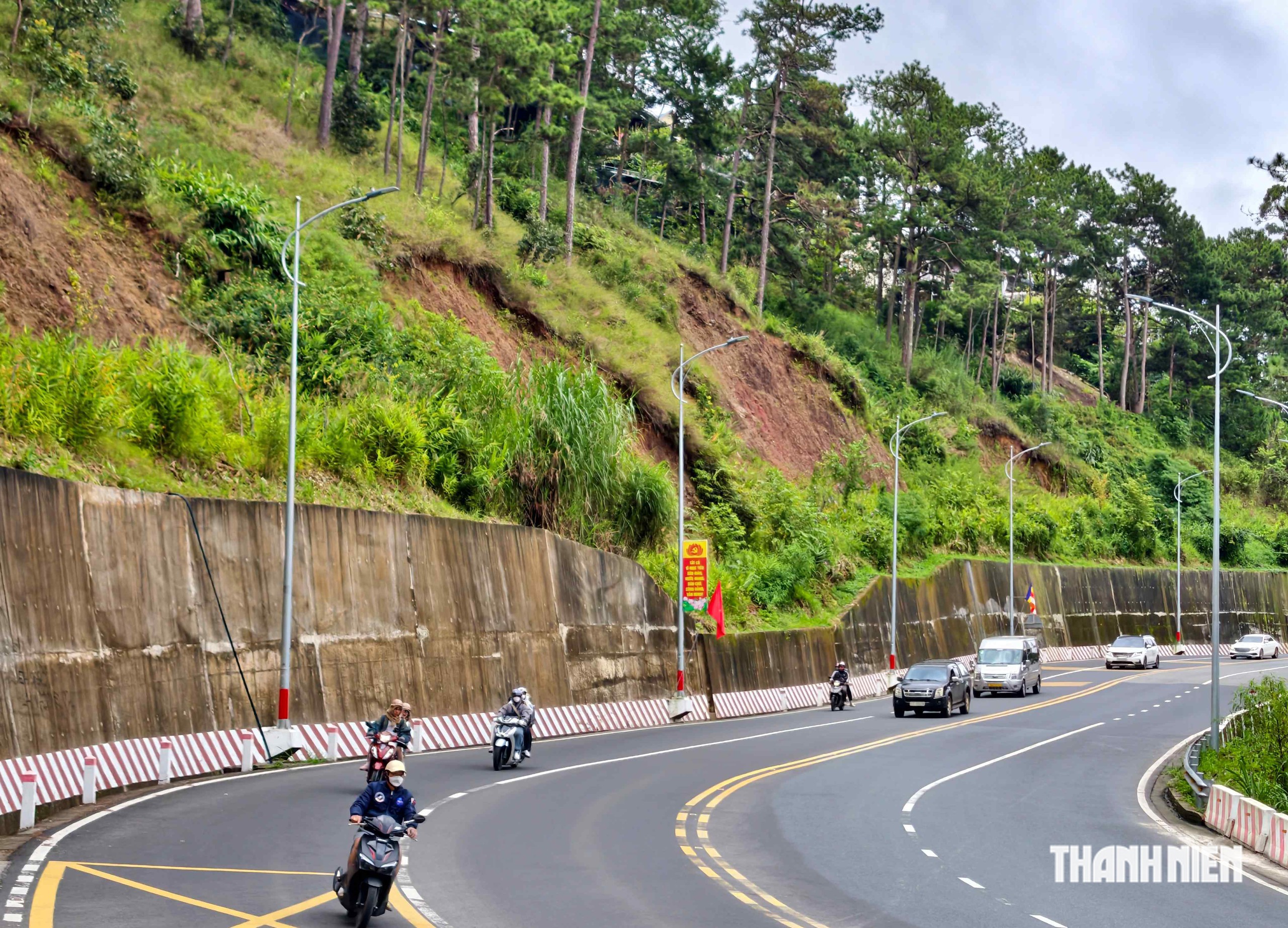 Chặt hạ h&agrave;ng chục c&acirc;y th&ocirc;ng g&acirc;y nguy hiểm tr&ecirc;n đ&egrave;o Prenn- Ảnh 7.