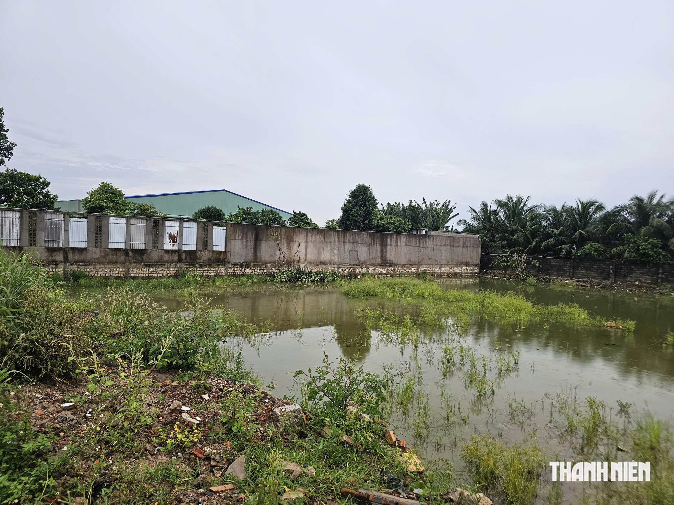 San lấp bằng chất thải rắn, chủ cửa hàng vật liệu bị phạt 3,6 năm tù- Ảnh 1.