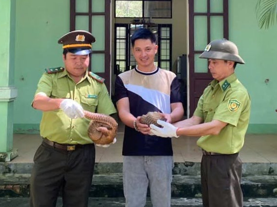 Thuyết phục người dân nhượng lại để giải cứu 2 con tê tê quý hiếm- Ảnh 1.