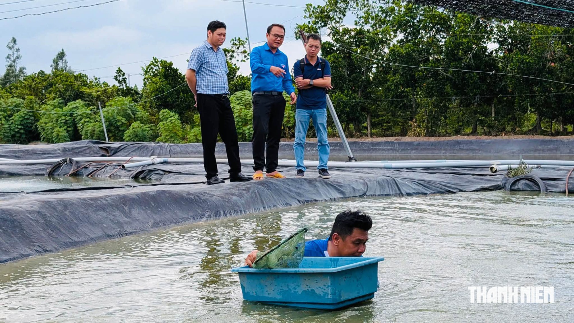 Nu&ocirc;i c&aacute; chạch lấu thu l&atilde;i gần 500 triệu đồng/năm - Ảnh 1.