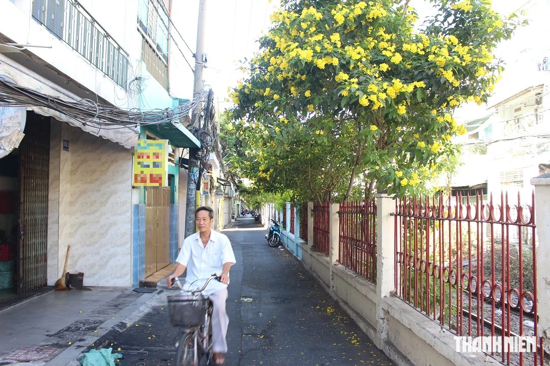 Phường Phú Nhuận cải tạo gần 3 km tuyến song hành đường sắt- Ảnh 1.