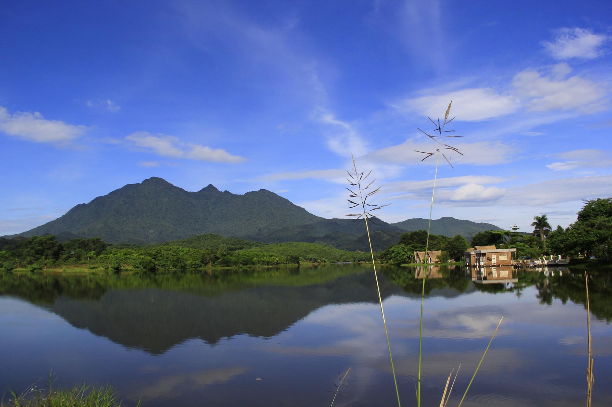 Sun Group muốn làm dự án safari tại Ba Vì- Ảnh 1.