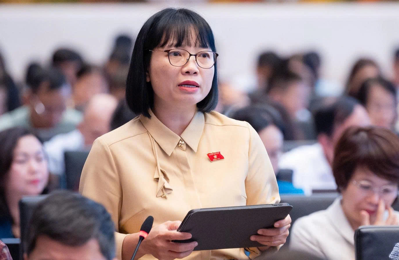Không thể chuyển rủi ro, chi phí hoạt động kinh doanh sang người sử dụng điện - Ảnh 1.