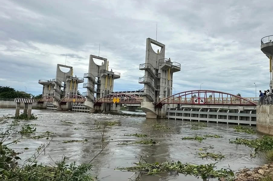 Nông dân An Giang vất vả thu hoạch lúa, hoa màu chạy lũ- Ảnh 5.
