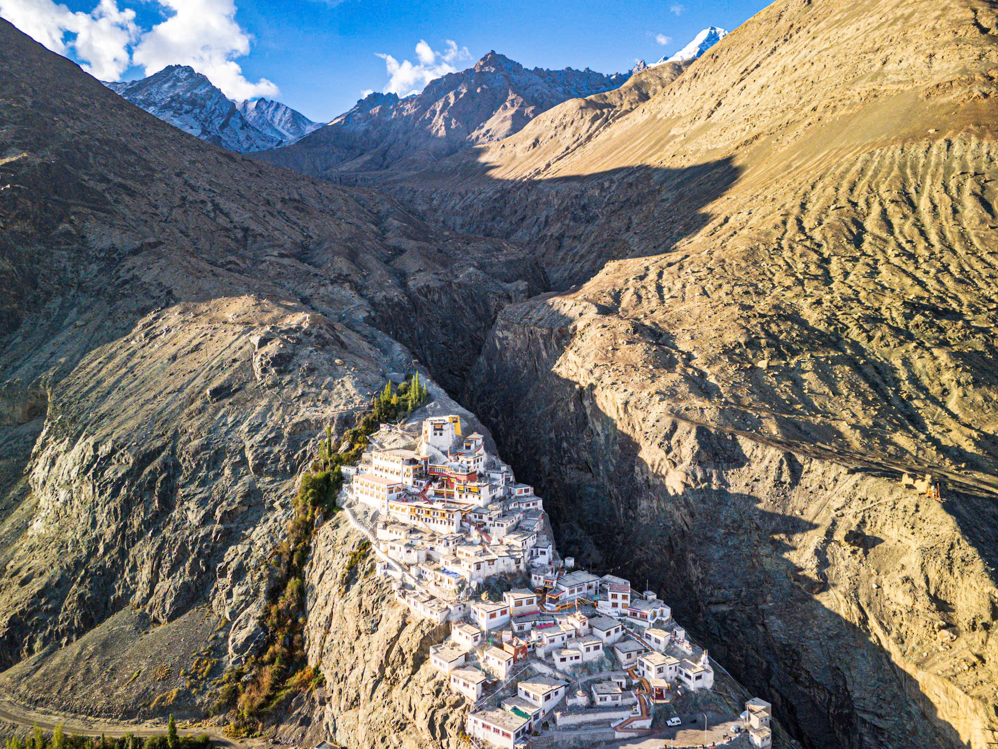 Sức sống m&atilde;nh liệt giữa đại ng&agrave;n Himalaya, Ladakh- Ảnh 1.