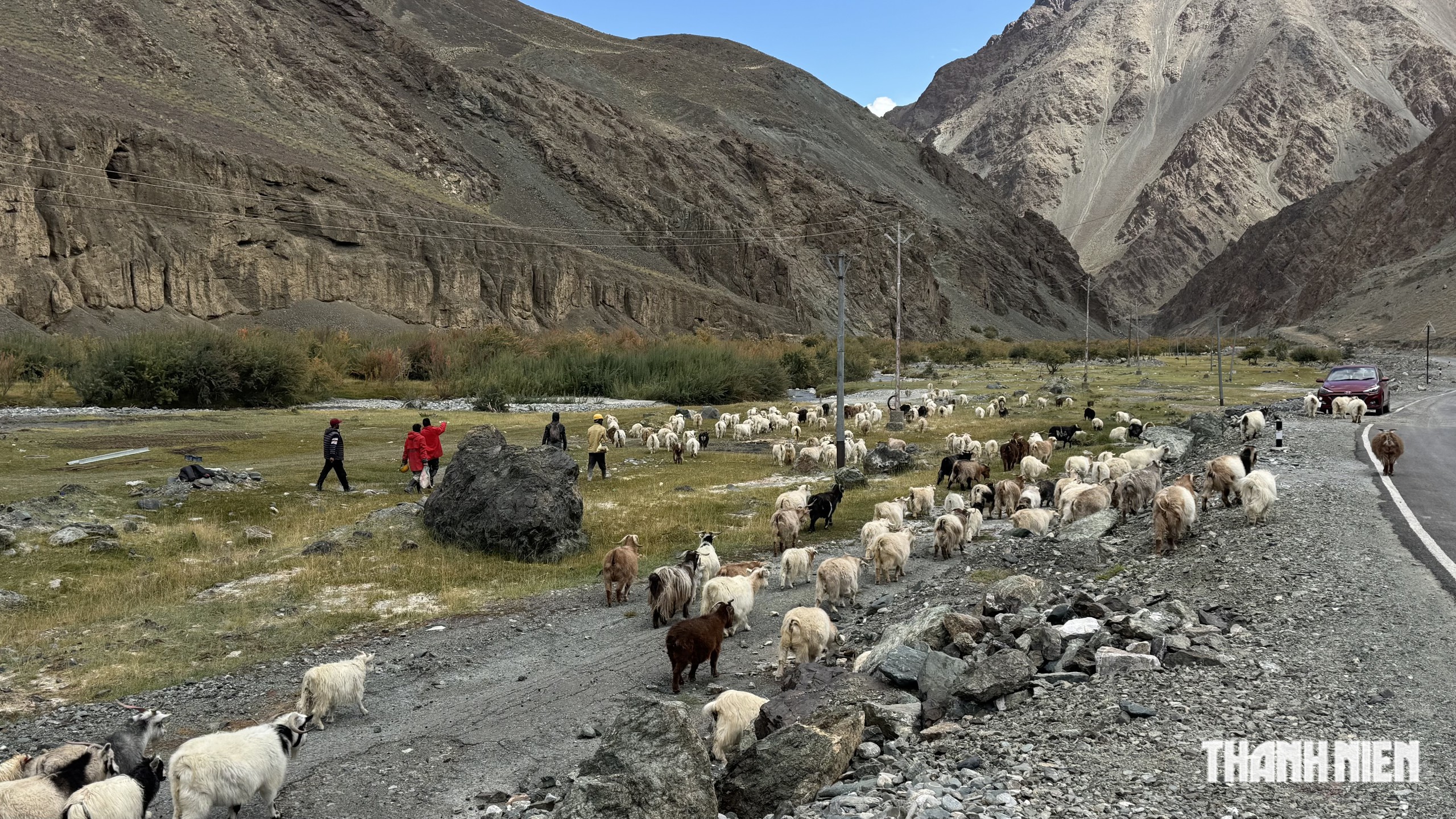Sức sống m&atilde;nh liệt giữa đại ng&agrave;n Himalaya, Ladakh- Ảnh 7.