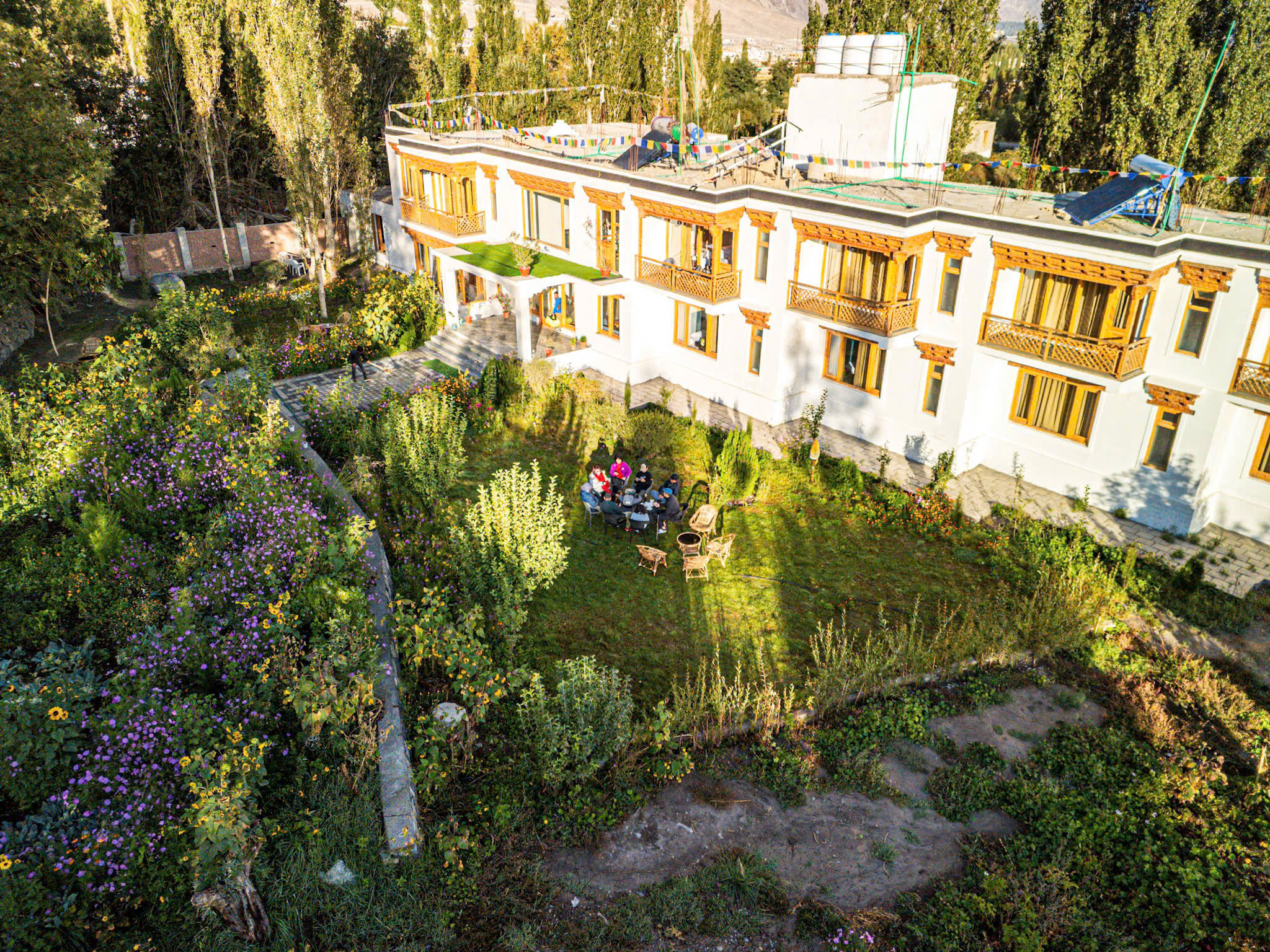 Sức sống mãnh liệt giữa mây ngàn khắc nghiệt Himalaya - Ảnh 4.