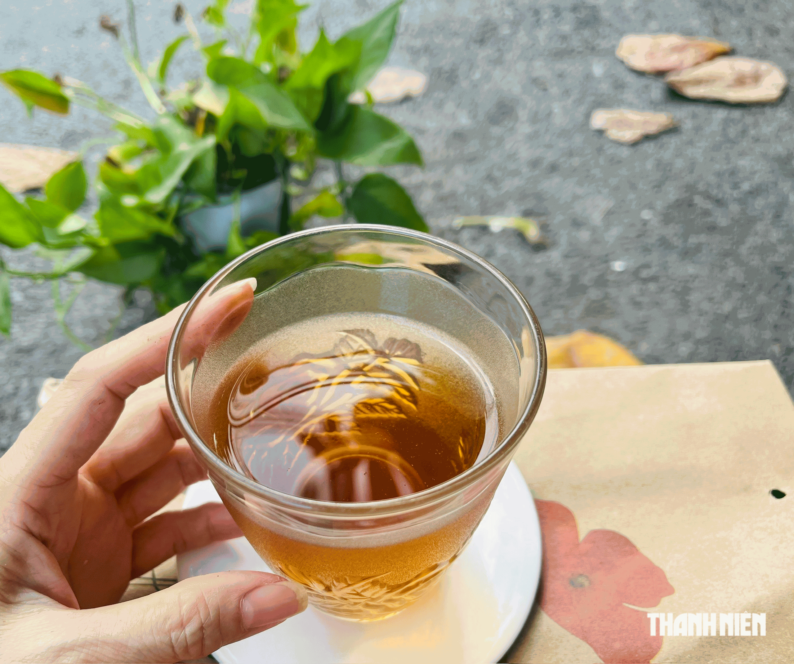 Uống trà nụ vối đúng cách mang lại nhiều lợi ích cho sức khỏe - Ảnh 1.