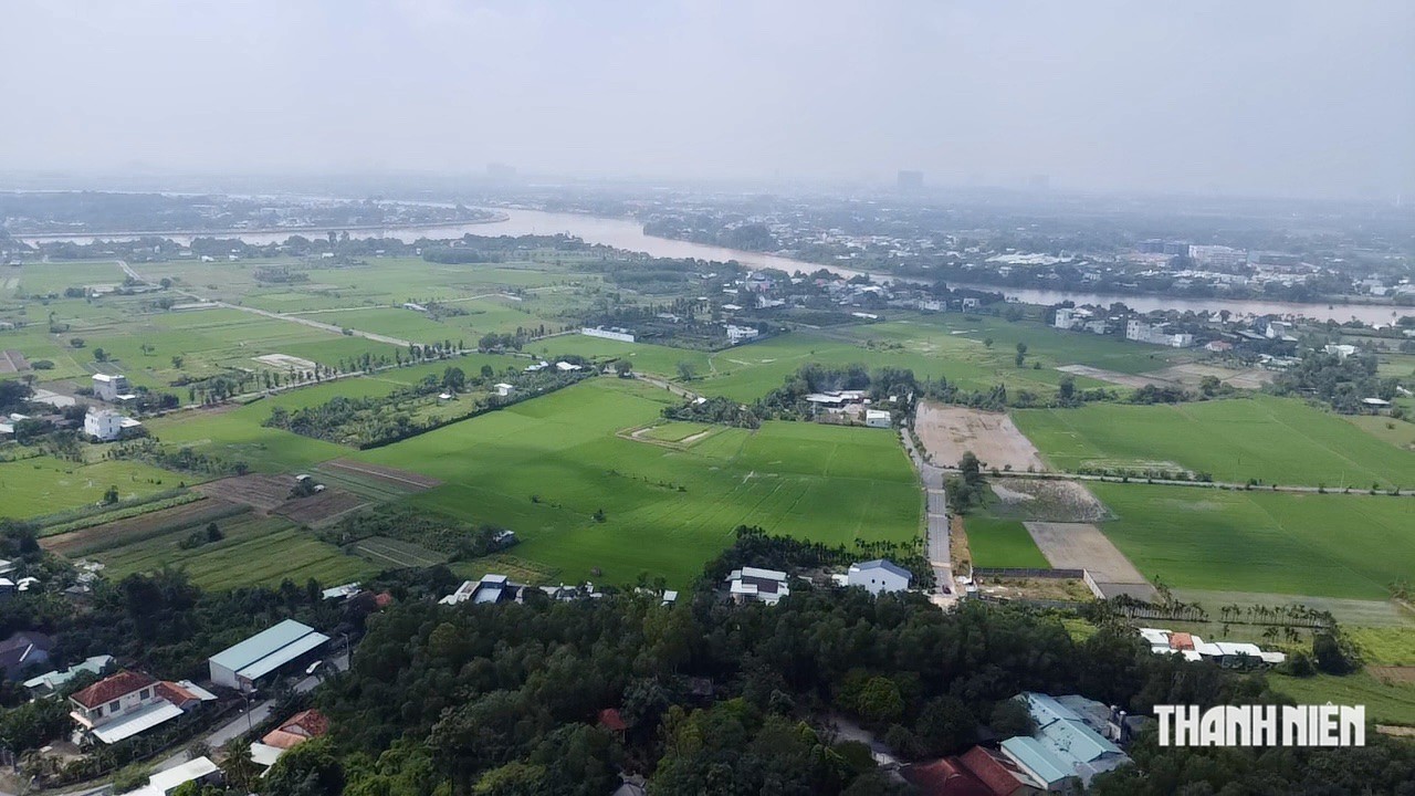 Bí thư phường Tân Khánh mong hài hòa bảo tồn di tích cư dân cổ cù lao Rùa ở TP.HCM- Ảnh 5.