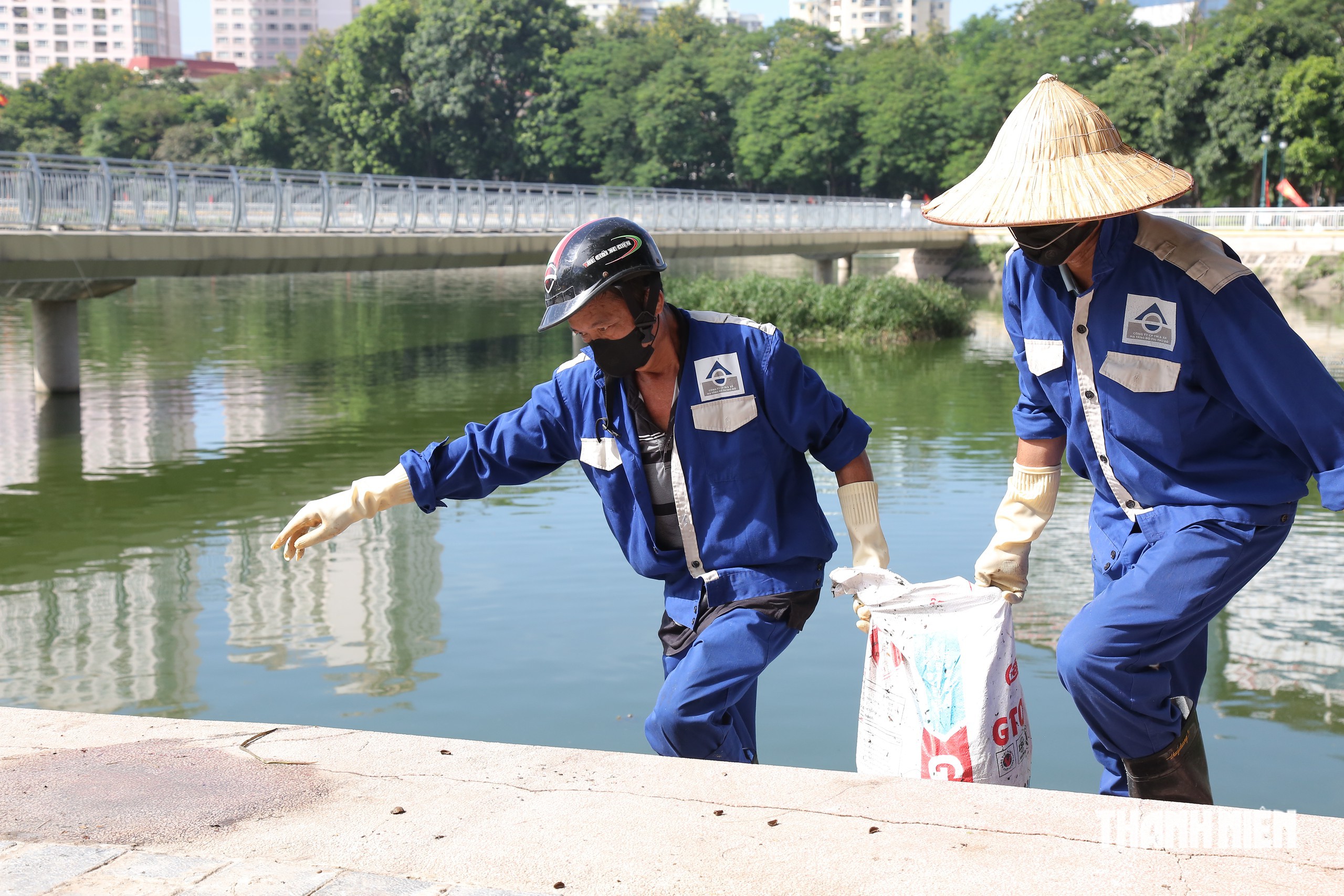 Hà Nội: Cá lại chết, bốc mùi hôi thối ở hồ công viên Nghĩa Đô- Ảnh 4.