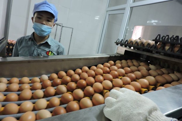 Thành viên WTO ban hành 63 thông báo mới về SPS - Ảnh 1.