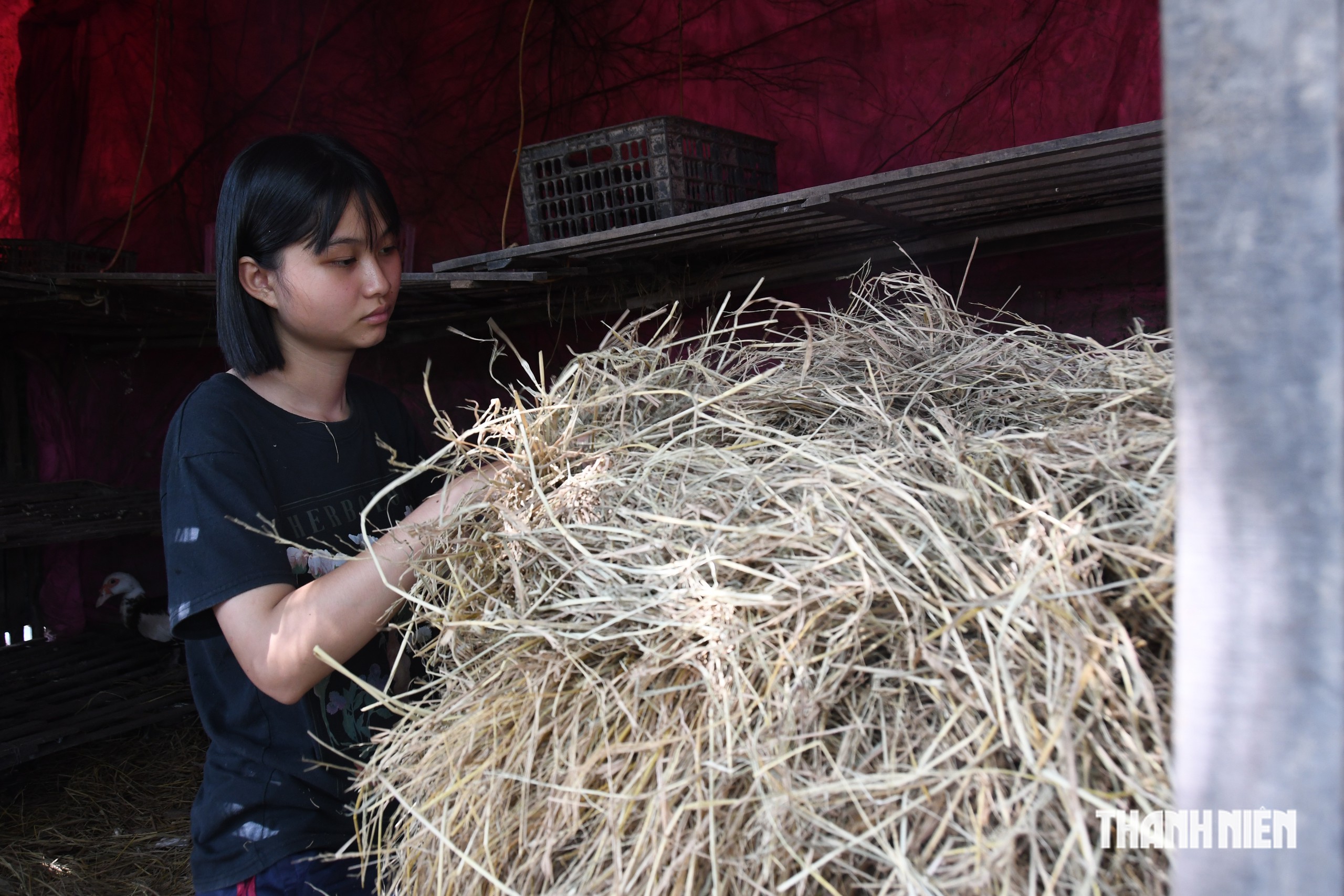Quặn lòng cô học trò mồ côi mẹ, không nhà cửa cần được cứu giúp - Ảnh 4.