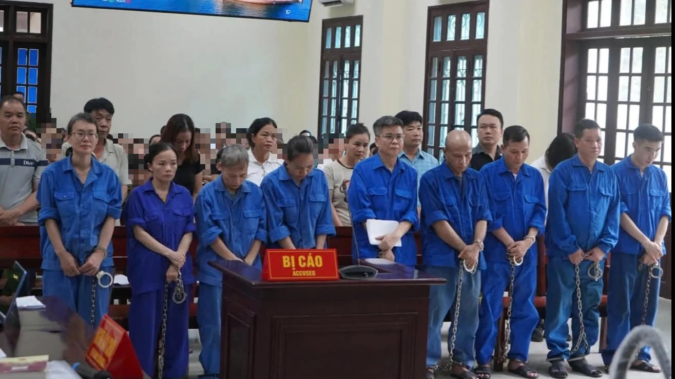 Cựu Tổng giám đốc Đồ hộp Hạ Long lĩnh án 19 năm tù- Ảnh 1.