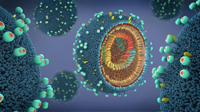 Cúm mùa gia tăng, virus liên tục biến đổi: Người mắc bệnh nền cần lưu ý - Ảnh 2.