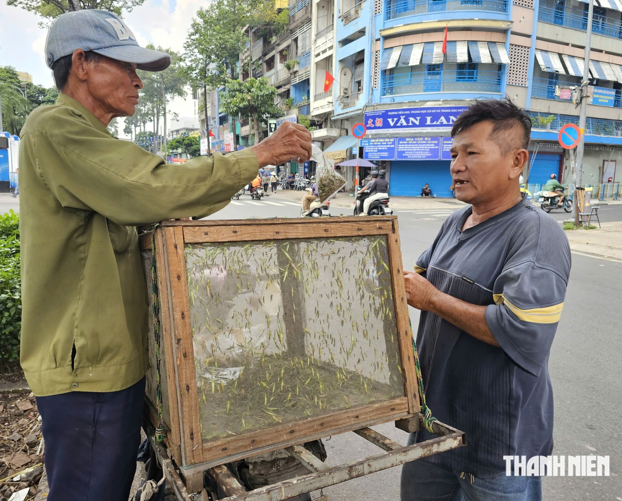 Nghề bắt cào cào hơn 40 năm nuôi con ăn học của người đàn ông ở TP.HCM - Ảnh 2.