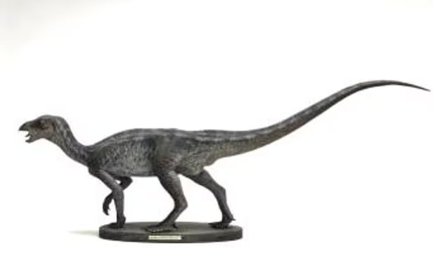 Hóa thạch khủng long chân chim Hàn Quốc được công nhận là di tích thiên nhiên - Ảnh 1.