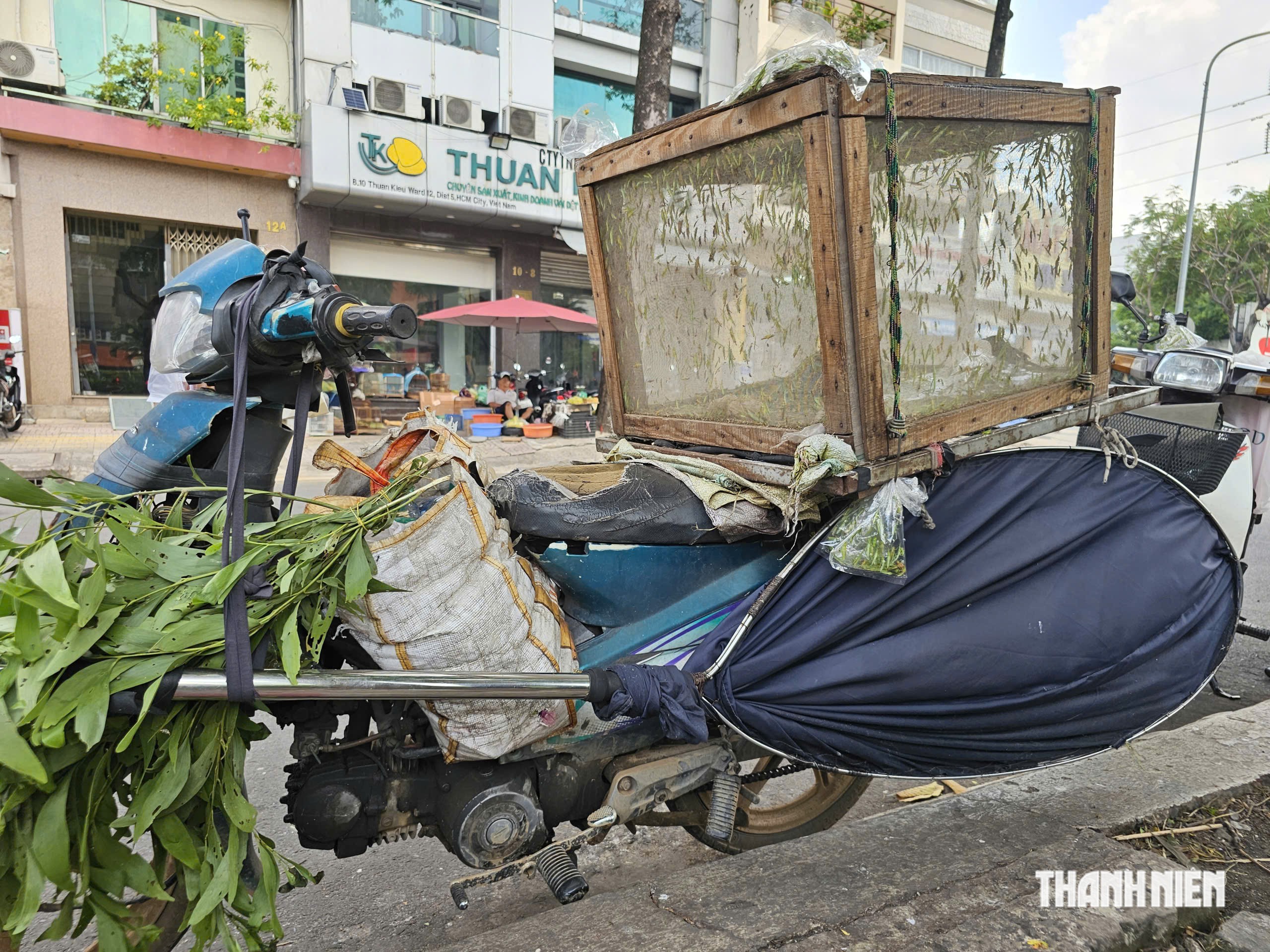 Nghề bắt cào cào hơn 40 năm nuôi con ăn học của người đàn ông ở TP.HCM - Ảnh 3.