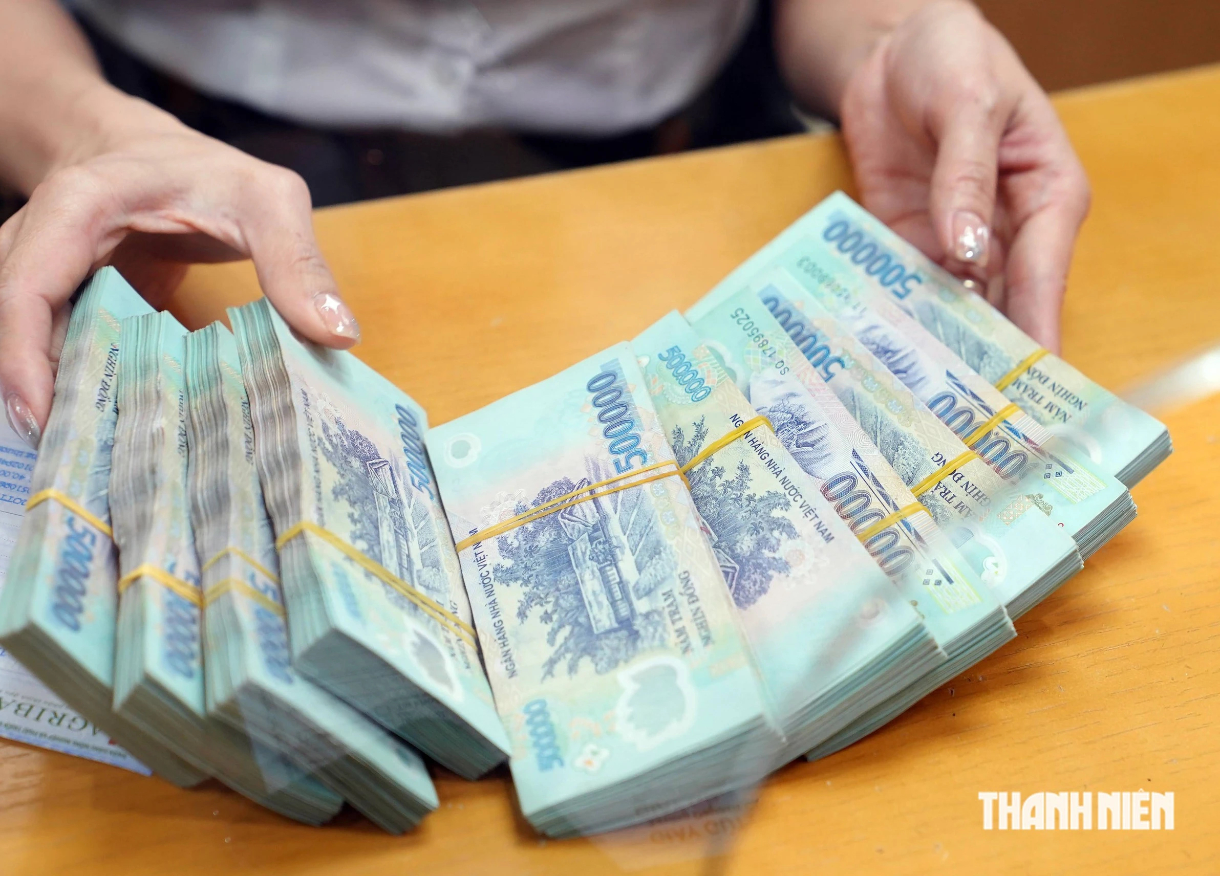 Công ty bảo hiểm nhân thọ lãi lớn- Ảnh 1.