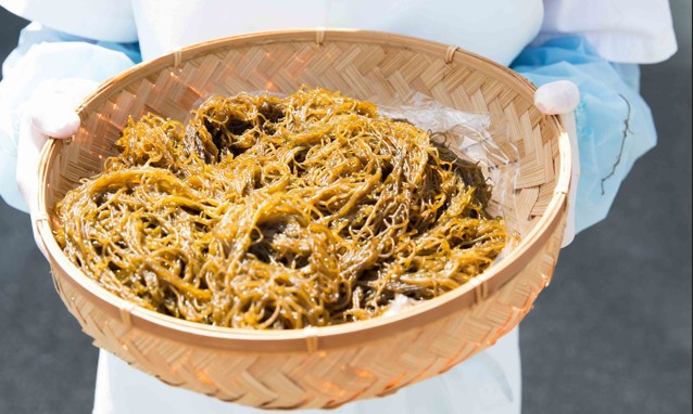 Từ biển xanh Okinawa đến c&acirc;u chuyện Fucoidan: Những gi&aacute; trị từ thi&ecirc;n nhi&ecirc;n- Ảnh 3.