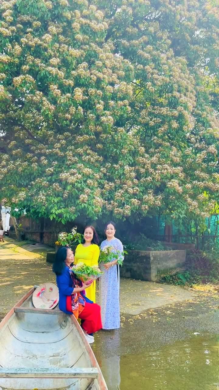 Chuyện cây bún đẹp như tranh bên dòng sông trên quê hương Đại tướng Võ Nguyên Giáp - Ảnh 2.