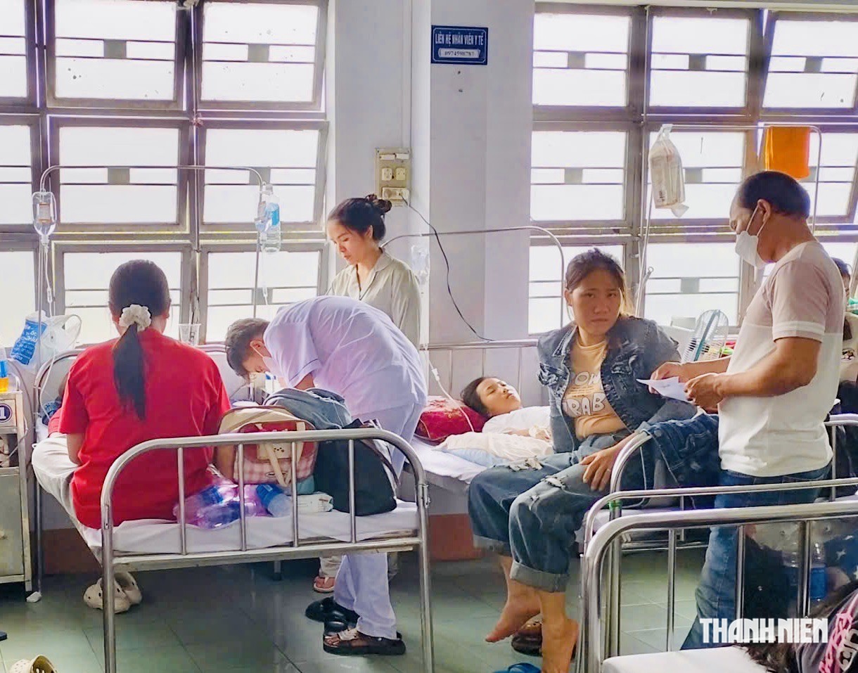 Gia Lai: Vi khuẩn có trong bánh mỳ khiến 254 người ngộ độc - Ảnh 2.
