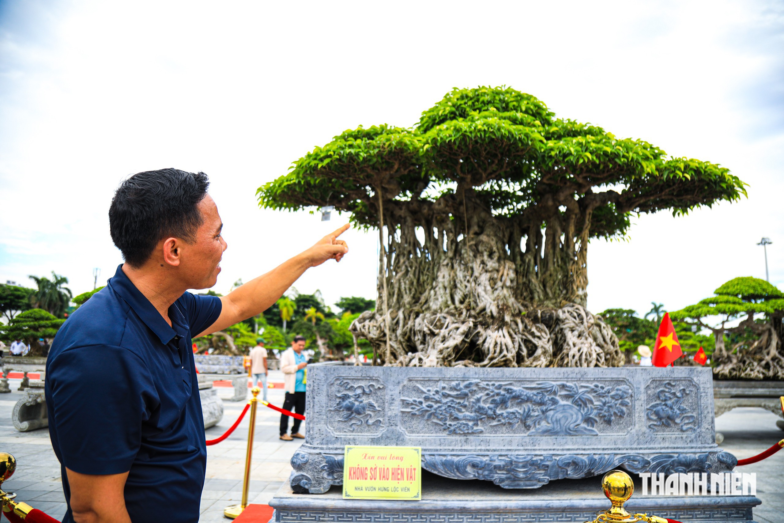 'Thạch Nham cổ mộc' được định gi&aacute; khoảng 2 triệu USD? - Ảnh 8.