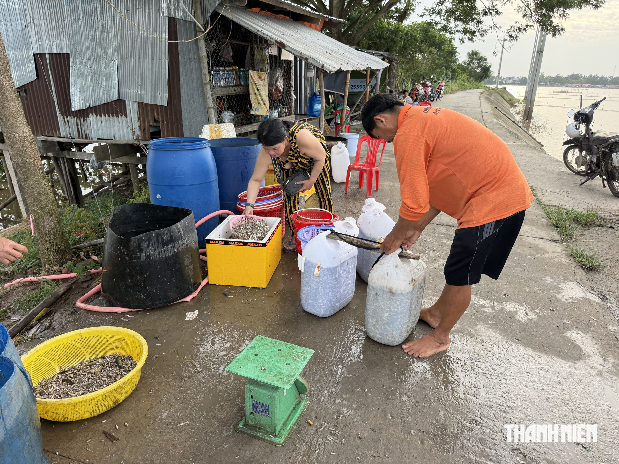 Những căn nhà theo mùa nước nổi: Xóm 'ngóng nước' ở rốn lũ sông Tiền - Ảnh 5.