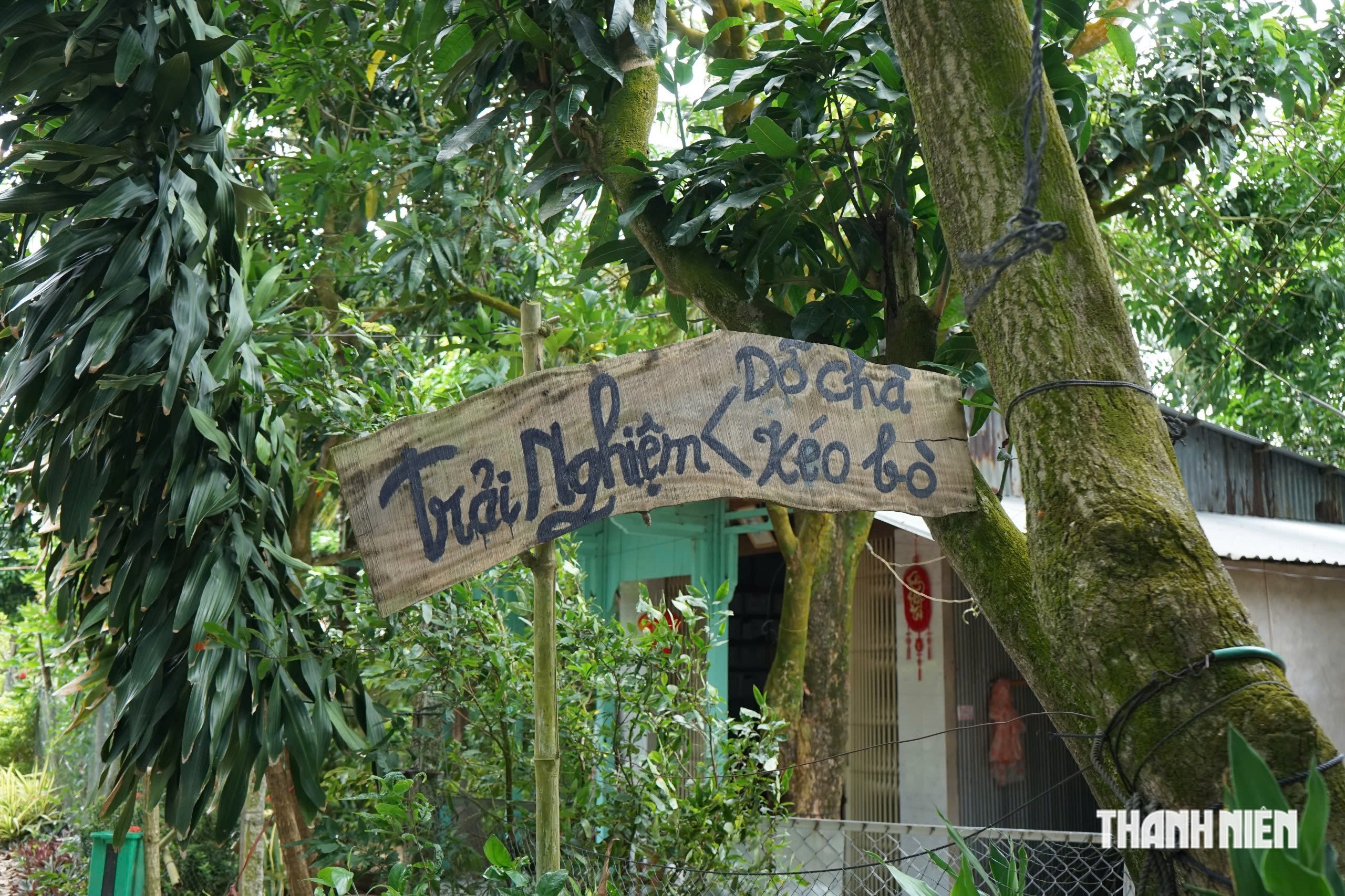 Thuận thiên để mưu sinh giữa mùa nước nổi - Ảnh 2.