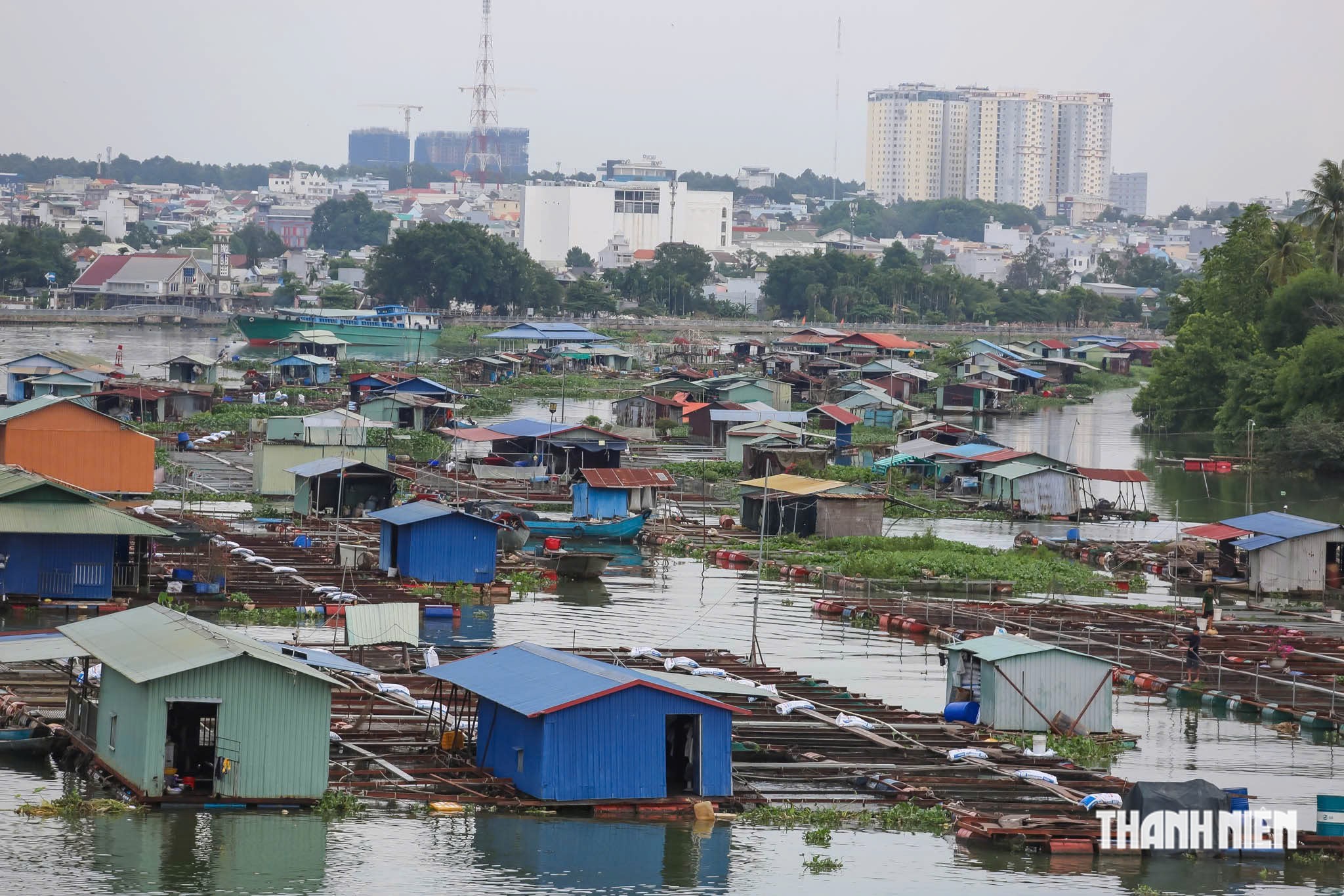 Giải tỏa lồng, bè nuôi cá ở khu trung tâm thành phố Đồng Nai là cấp bách- Ảnh 2.