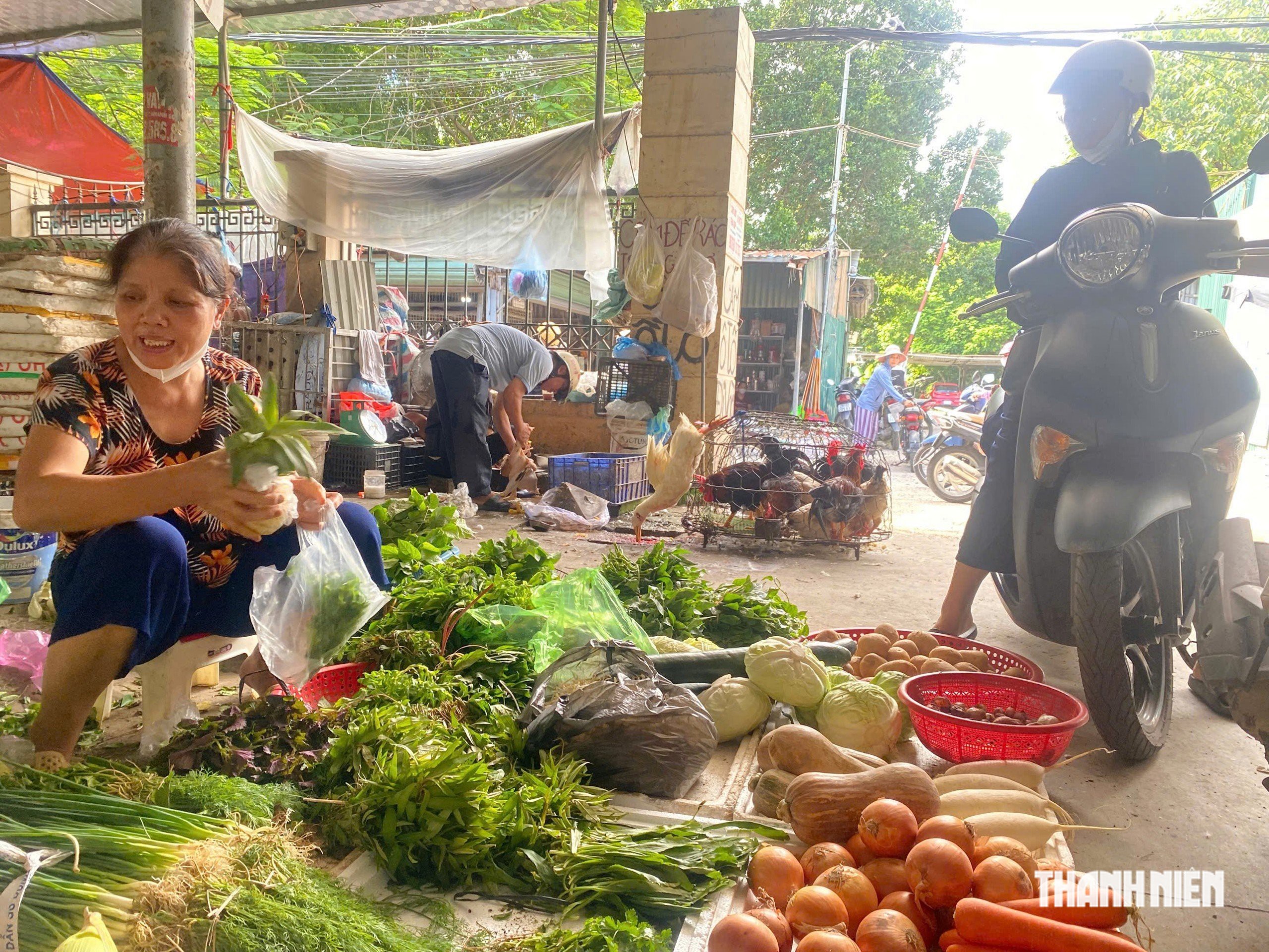Gi&aacute; rau H&agrave; Nội tăng cao, đắt ngang thịt - Ảnh 3.
