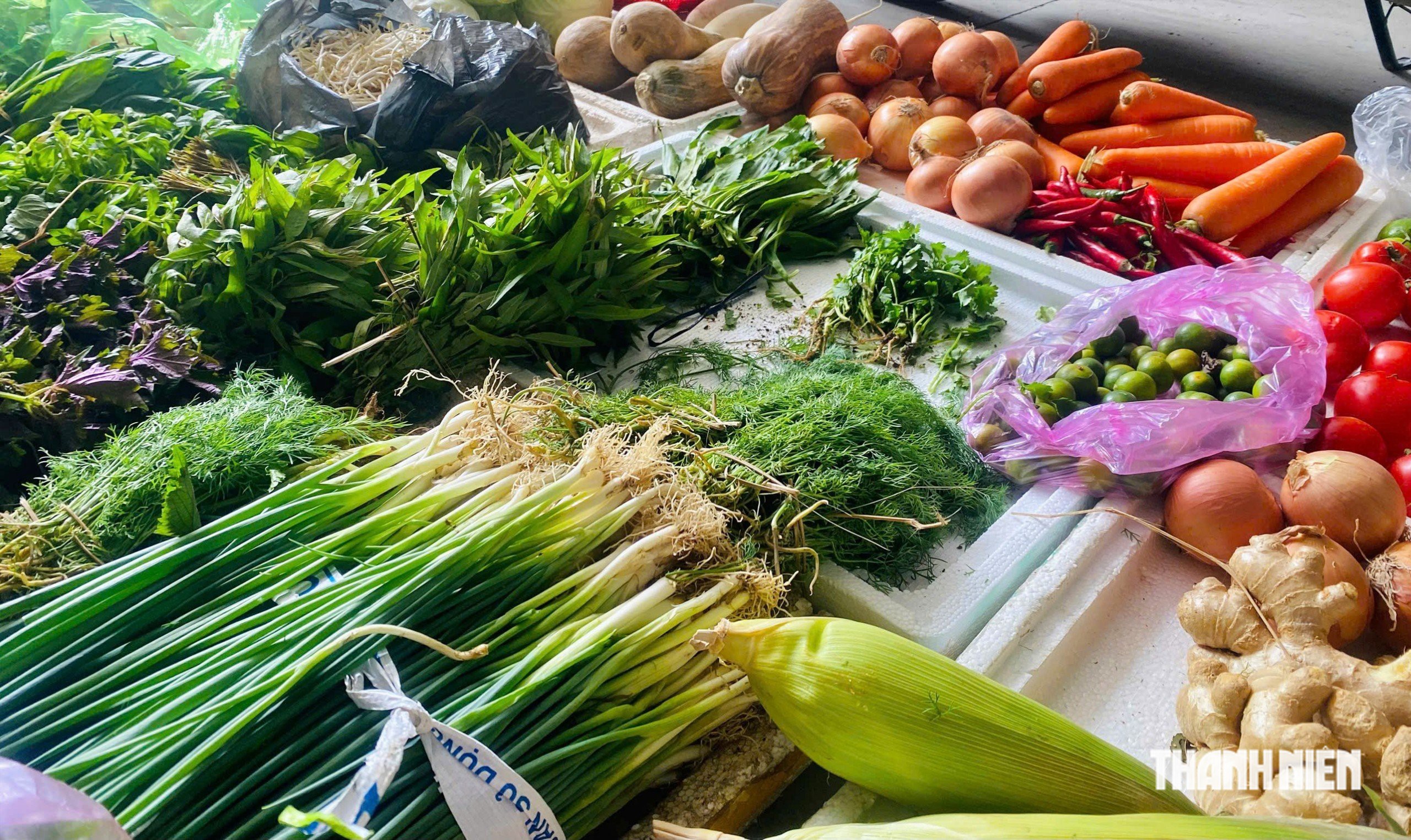 Gi&aacute; rau H&agrave; Nội tăng cao, đắt ngang thịt - Ảnh 2.