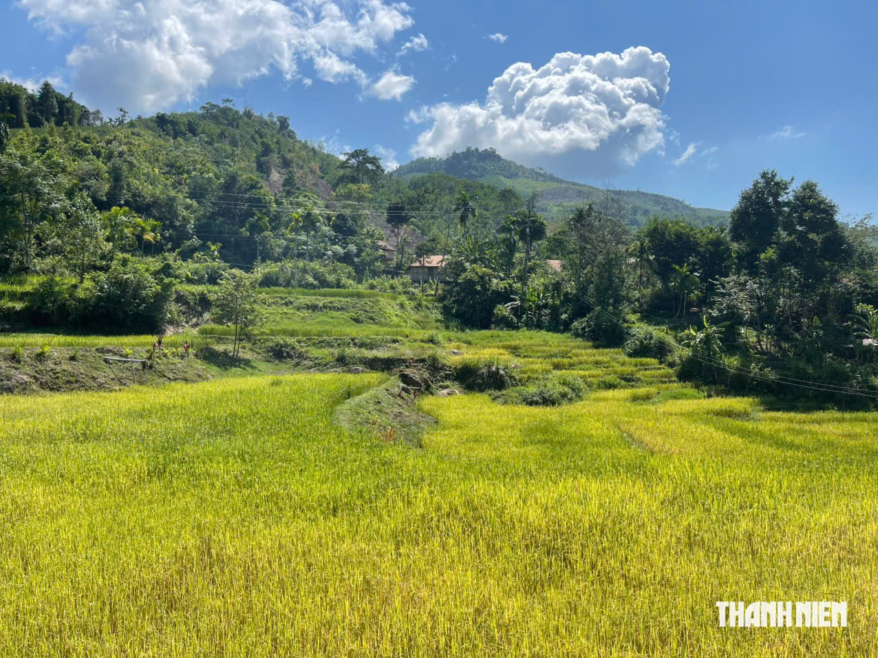 Về Tu La thôn nghe tiếng đàn vang vút- Ảnh 1.