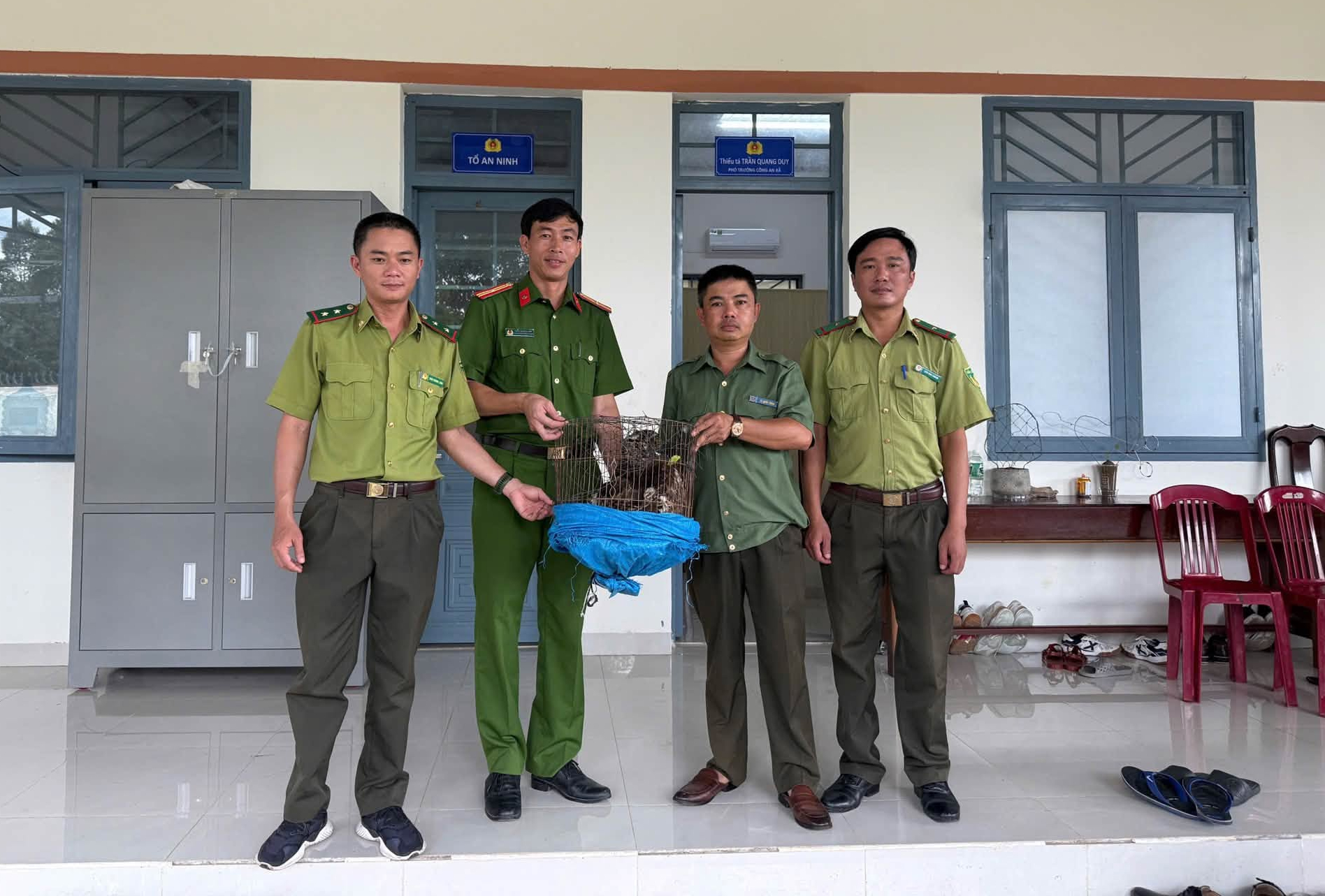 Đi thăm rẫy, phát hiện diều hoa Miến Điện quý hiếm nằm bất động dưới gốc cây- Ảnh 1.