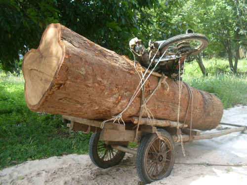 Bắn trọng thương 3 lâm tặc ngoan cố