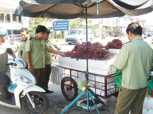 “Nho Mỹ” xuất xứ từ Trung Quốc