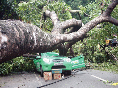 đè bẹp xe taxi 