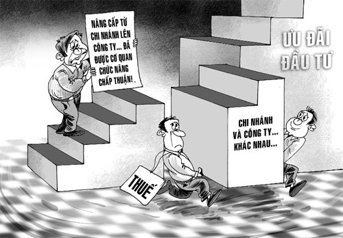 Cơ quan thuế hầu tòa