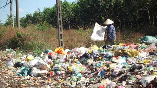 Cấm vẫn cứ đổ