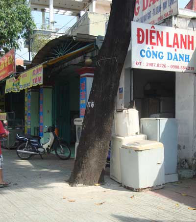 Thêm một cây xanh “nghẹt thở”