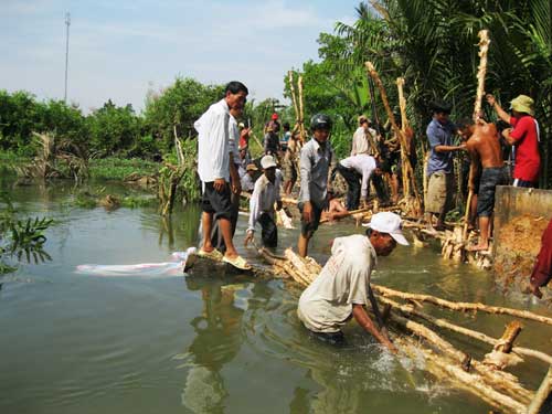 Đoạn đê bao dài gần 10 mét bị bể