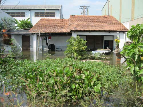 Nước ngập nặng trên diện rộng 3