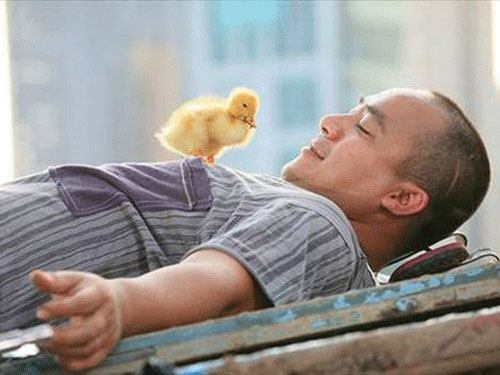 Hiếu Hiền trong phim 