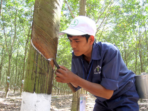 Hôi thi thợ giỏi thu hoạch mủ ngành cao su Việt Nam 8