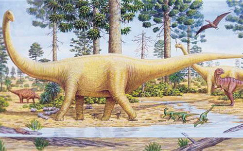 Khủng long sauropod - Ảnh: ABC