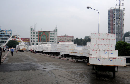 Mỗi ngày có gần 300 tấn vải thiều chín sớm xuất khẩu sang thị trường Trung Quốc qua cửa khẩu quốc tế Lào Cai 1