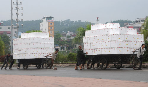 Mỗi ngày có gần 300 tấn vải thiều chín sớm xuất khẩu sang thị trường Trung Quốc qua cửa khẩu quốc tế Lào Cai 4