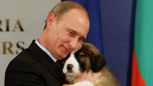 Ông Putin quấn quýt bên chú chó cưng Baffi - Ảnh: AFP