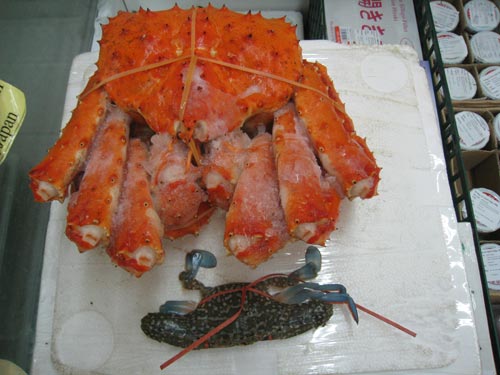 cua khổng lồ